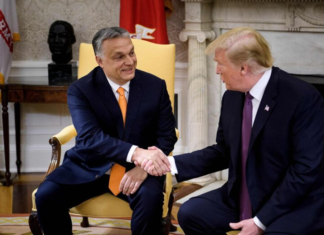«Трамп — это риск»: европейские союзники США в панике из-за провала Орбана