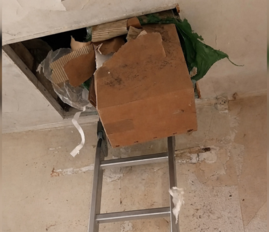 Переселенцы нашли клад в доме, купленном во Франции за 10 тысяч евро: «Стали миллионерами»