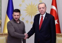 Зеленский: Украина и Турция планируют строить газовую инфраструктуру