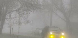 Осторожно на дорогах: в Харькове и области прогнозируют густой туман