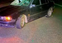 Ужасная авария в Харькове: пешеход погиб в карете скорой, полиция ищет свидетелей