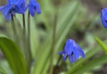 Прогноз погоды на неделю: возвращаются заморозки и даже снег