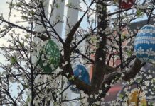 Прогноз погоды в Харькове на 12 апреля: весенние капли и облака