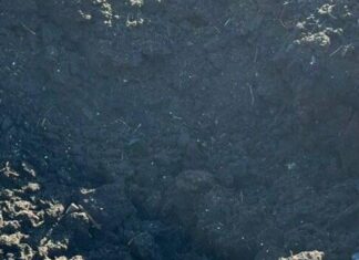 Обстрелы в сутки: московиты целенаправленно были по человеческим домам на Харьковщине