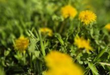 Прогноз погоды в Харькове: от солнца до дождя.