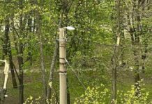 Апокалиптический ветер в Харькове: валит деревья, разбивает окна, приспущен флаг