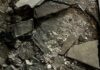 В Харькове бросили гранату в магазин, а в пригороде молодой человек с гранатой защищал плантацию конопли