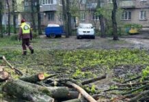 Розбитые автомобили, поваленные деревья, люди без света: что натворил ураган на Харьковщине? – ФОТО