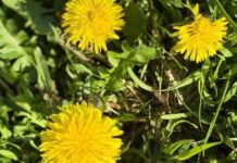 От урагана и града до весеннего тепла: прогноз погоды на неделю.