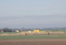 Разведка Сербии разнесла версию Орбана об «украинском следе» при минировании газопровода с Венгрией