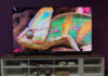 Какой Mini LED телевизор выбрать: эксперт сравнил TCL X11L и Hisense U8QG (фото)