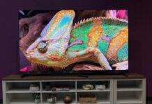 Какой Mini LED телевизор выбрать: эксперт сравнил TCL X11L и Hisense U8QG (фото)