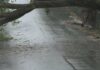 Надвигается шторм: жителей Харьковщины предупредили об опасном ветре и грозах