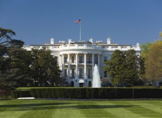 У Трампа начали строить арену для турнира UFC у Белого дома