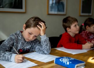 В Украине проверят службы по делам детей: в чем причина