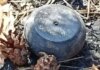 Опасность под ногами: через день двое мужчин взорвались в полях Харьковщины