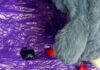 Посылка-сюрприз: в мягкой игрушке нашли MDMA и наркотики