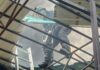 Рашисты ударили по Чугуеву: после атаки в городе вспыхнул масштабный пожар