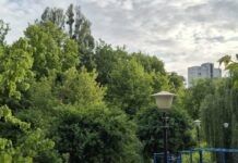 Погода изменится через минуты: Харьков и область накроют грозы и ливни