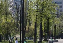 Более трех с половиной миллионов гривен потратят на благоустройство центра Харькова