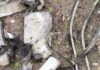 Рашисты нанесли удары по Харькову и области: в городе вспыхнул пожар, —