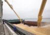 Украина усиливает борьбу с воровством зерна: уже есть первые результаты