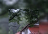 Сталкер показал в горах Японии заброшенный дом: здесь жил известный бизнесмен (фото)
