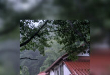Сталкер показал в горах Японии заброшенный дом: здесь жил известный бизнесмен (фото)