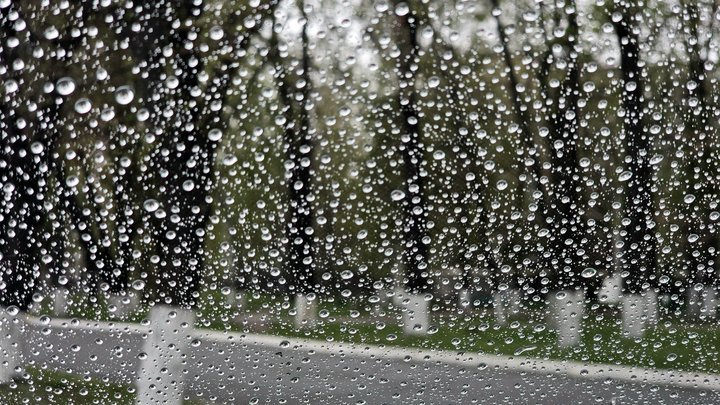 Грозы, град и ветер до 20 м/с: в ближайшие часы Харьковщину может накрыть непогода