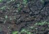 Авиабомбы россиян атаковали пригород Харькова: есть разрушение и пожар