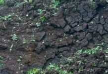 Авиабомбы россиян атаковали пригород Харькова: есть разрушение и пожар