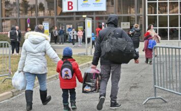 В Дании хотят аннулировать виды на жительство части украинских мужчин, — законопроект