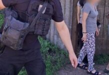 Трогательная эвакуация в Харьковской области: вместе с детьми спасли собак и маленьких щенков