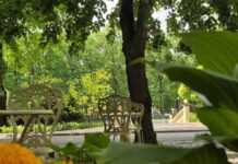 Погода в Харькове на 30 июня: лето в разгаре