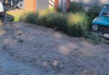 Припарковался как смог: в Харьковской области пьяница въехал в дом, — ФОТО