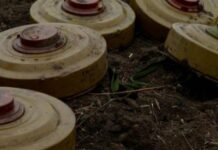 Более 50 тысяч гектаров под угрозой: как продолжается большое разминирование Харьковщины
