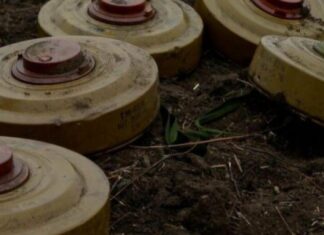 Более 50 тысяч гектаров под угрозой: как продолжается большое разминирование Харьковщины