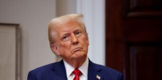 Трамп назвал, кого хочет видеть на месте Линдси Грэма в Сенате США