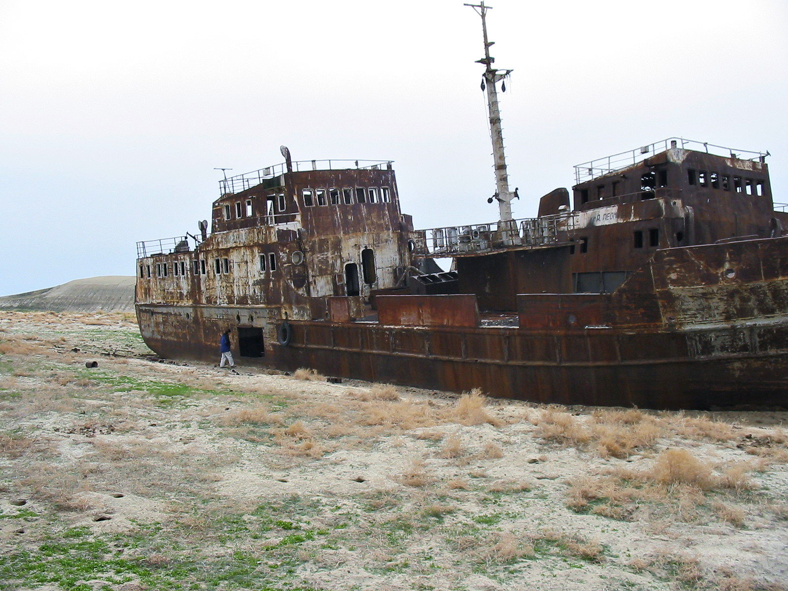 Высыхание Аральского моря привело к неожиданным последствиям: однако все можно исправить (фото)