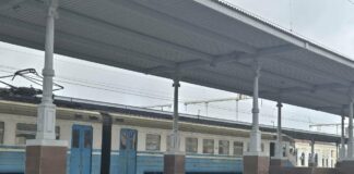 Ошейник с бриллиантом и воск для усов: как вернуть потерянные в поезде вещи