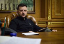 Зеленский раскрыл вопросы, которые обсудил с Навроцким