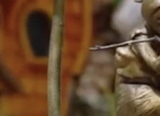 Несмотря на призывы к эвакуации: в «Фельдман Экопарке» открыли новую сказочную локацию