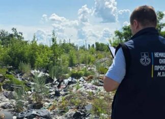 Двухметровые горы мусора и останки животных: в Харькове через суд возвращают общине заброшенную землю