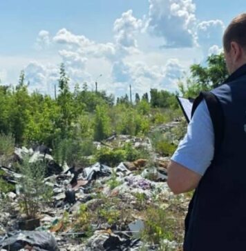 Двухметровые горы мусора и останки животных: в Харькове через суд возвращают общине заброшенную землю