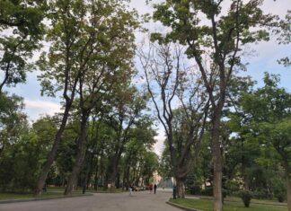 Прогноз погоды в Харькове на 14 июля: дождь и комфортные температуры.