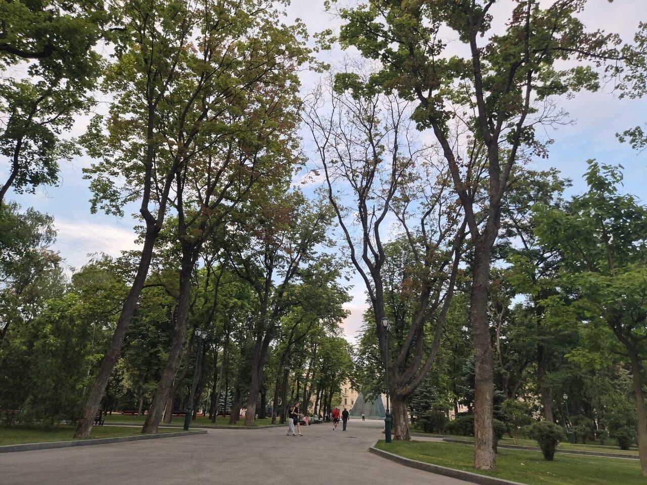 Прогноз погоды в Харькове на 14 июля: дождь и комфортные температуры.