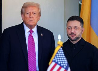 Зеленский и Трамп встретятся на этой неделе