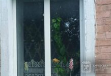 Россияне атаковали Харьков и область: повреждены АЗС, свиноферма и дома, — ФОТО