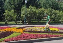 Солнечный и теплый день в Харькове: прогноз погоды на 29 августа.