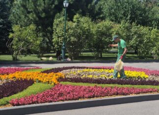 Солнечный и теплый день в Харькове: прогноз погоды на 29 августа.